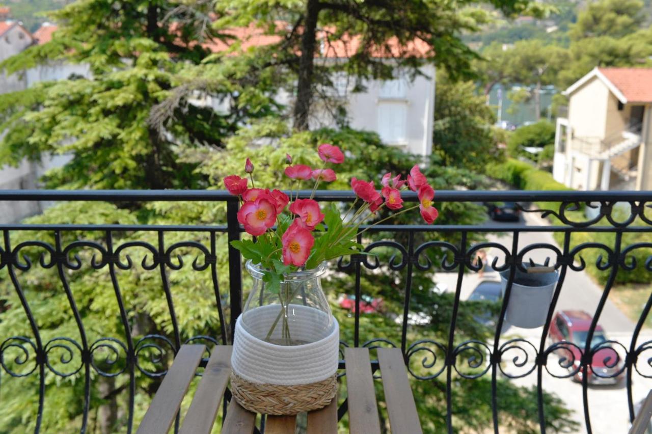 The Nest - Urban Family Place Kotor Bagian luar foto