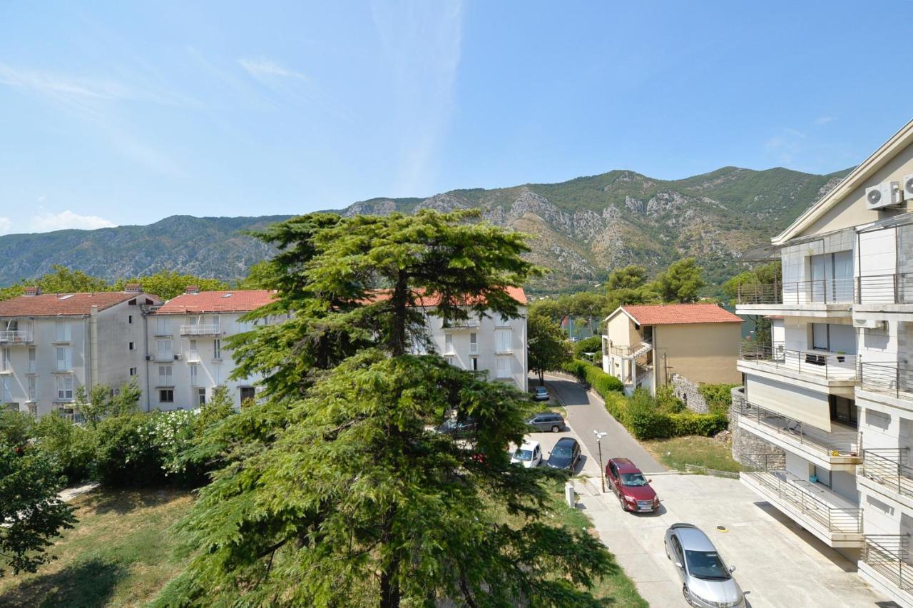 The Nest - Urban Family Place Kotor Bagian luar foto