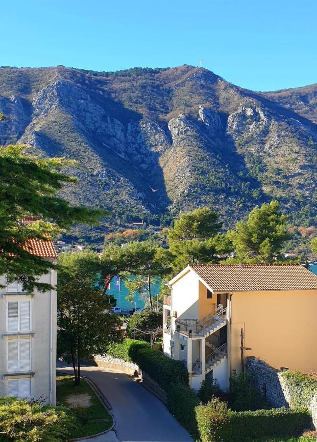 The Nest - Urban Family Place Kotor Bagian luar foto